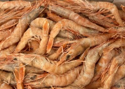 gambas